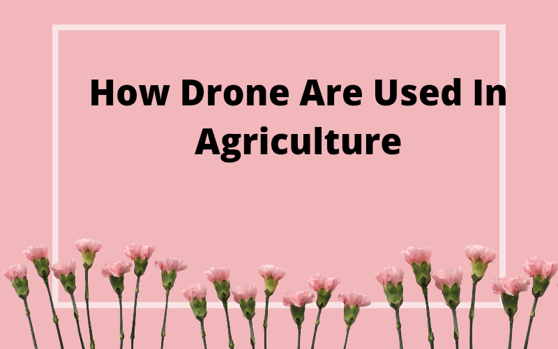 How Drone Are Used In Agriculture