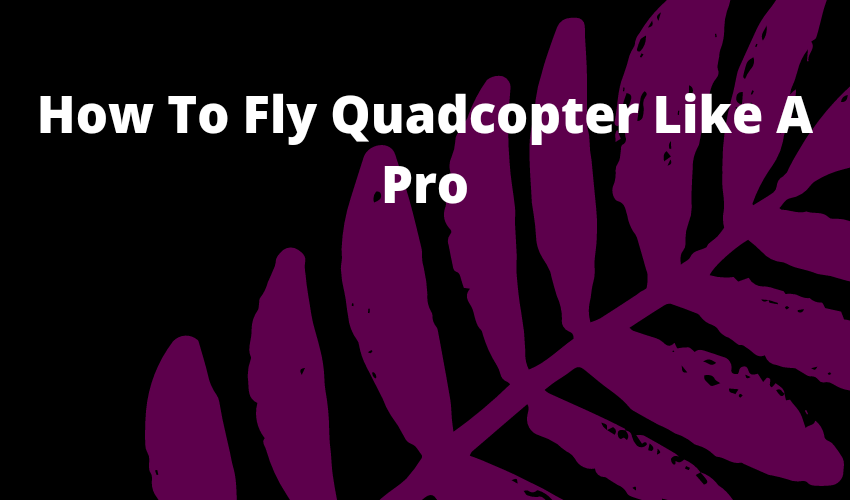 How To Fly Quadcopter Like A Pro