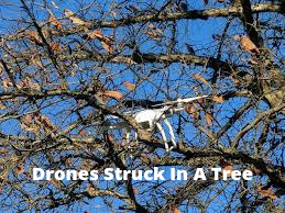 How to get a drone out of a tree safely